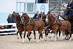 Devon-Coaching-5-29-14-6756-DDeRosaPhoto