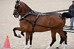 Devon-Coaching-5-29-14-6757-DDeRosaPhoto