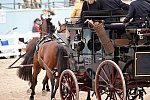 Devon-Coaching-5-29-14-6779-DDeRosaPhoto