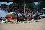 Devon-5-29-14-7129-DDeRosaPhoto