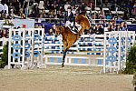 Devon-GP-5-29-14-8002-AliWolff-Artemis-DDeRosaPhoto