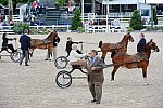 Devon-Saddlebreds-5-29-14-6879-DDeRosaPhoto