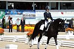 Dressage-at-Devon-9-27-13-4663-DDeRosaPhoto