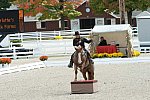 Dressage-at-Devon-9-27-13-4672-DDeRosaPhoto