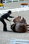 Dressage-at-Devon-9-27-13-4692-DDeRosaPhoto