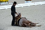 Dressage-at-Devon-9-27-13-4694-DDeRosaPhoto