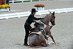 Dressage-at-Devon-9-27-13-4696-DDeRosaPhoto
