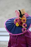 Dressage-at-Devon-9-27-13-4710-DDeRosaPhoto