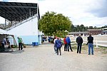 Dressage-at-Devon-9-27-13-4759-DDeRosaPhoto