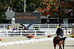 Dressage-at-Devon-9-27-13-4801-DDeRosaPhoto