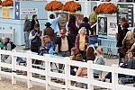 Dressage-at-Devon-9-27-13-4852-DDeRosaPhoto