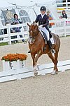 Dressage-at-Devon-9-27-13-4865-DDeRosaPhoto
