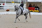 Dressage-at-Devon-9-27-13-4932-EviStrasser-RenaissanceTyme-DDeRosaPhoto