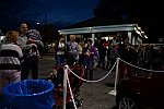 Dressage-at-Devon-9-27-13-5067-DDeRosaPhoto