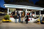 Dressage-at-Devon-9-27-13-5068-DDeRosaPhoto