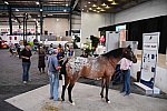 EQUITANA-10-03-21-4705-DDEROSAPHOTO