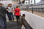 EQUITANA-10-03-21-4715-DDEROSAPHOTO