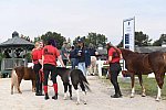 EQUSA-10-02-2021-4274-DDeRosaPhoto