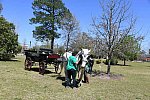 CAMDEN CARRIAGE-4-3-22-8080-DDeRosaPhoto