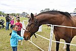 MARLEY'S ROUND UP-4-9-22-8176-DDeRosaPhoto