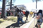 CAROLINA CUP-4-2-22-7141-DDeRosaPhoto