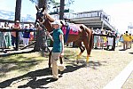 CAROLINA CUP-4-2-22-7143-DDeRosaPhoto
