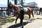 CAROLINA CUP-4-2-22-7160-DDeRosaPhoto