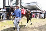 CAROLINA CUP-4-2-22-7351-DDeRosaPhoto