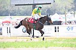 CAROLINA CUP-4-2-22-7461-DDeRosaPhoto