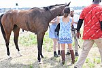CAROLINA CUP-4-2-22-7484-DDeRosaPhoto