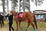 RACE 3