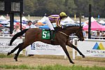 CAROLINA CUP-4-2-22-7590-DDeRosaPhoto