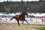CAROLINA CUP-4-2-22-7648-DDeRosaPhoto