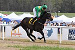 CAROLINA CUP-4-2-22-7749-DDeRosaPhoto