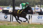 CAROLINA CUP-4-2-22-7755-DDeRosaPhoto