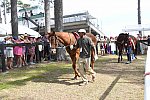 CAROLINA CUP-4-2-22-7864-DDeRosaPhoto