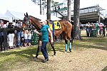 CAROLINA CUP-4-2-22-7874-DDeRosaPhoto