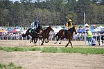 CAROLINA CUP-4-2-22-7936-DDeRosaPhoto
