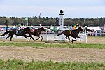CAROLINA CUP-4-2-22-7960-DDeRosaPhoto