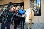 EQUUSFF-11-2016-8208--DDeRosaPhoto