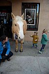 EQUUSFF-11-2016-8244--DDeRosaPhoto