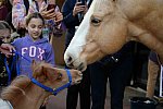 EQUUSFF-11-2016-8275--DDeRosaPhoto