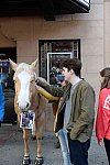 EQUUSFF-11-2016-8308--DDeRosaPhoto