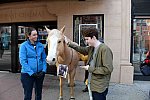 EQUUSFF-11-2016-8311--DDeRosaPhoto