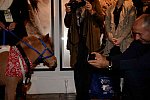 EQUUSFF-11-2016-8526-NinaGlaichevaPhoto