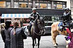 EFF17-11-17-19-17-2803-DDeRosaPhoto