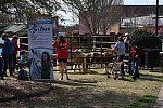 EFF-Camden-2-20-25-2017-3968-DDeRosaPhoto