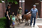 GALLOPNYC-5-22-2022-9626-DDeRosaPhoto