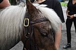GALLOPNYC-5-22-2022-9538-DDeRosaPhoto