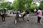GALLOPNYC-5-22-2022-9545-DDeRosaPhoto